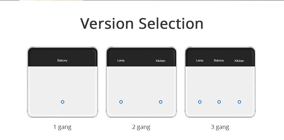 Zemismart ZM206 | Matter WiFi Wandschakelaar met Display