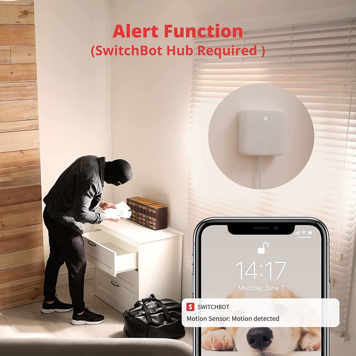 SwitchBot Motion Sensor | Smart motion sensor with light sensor