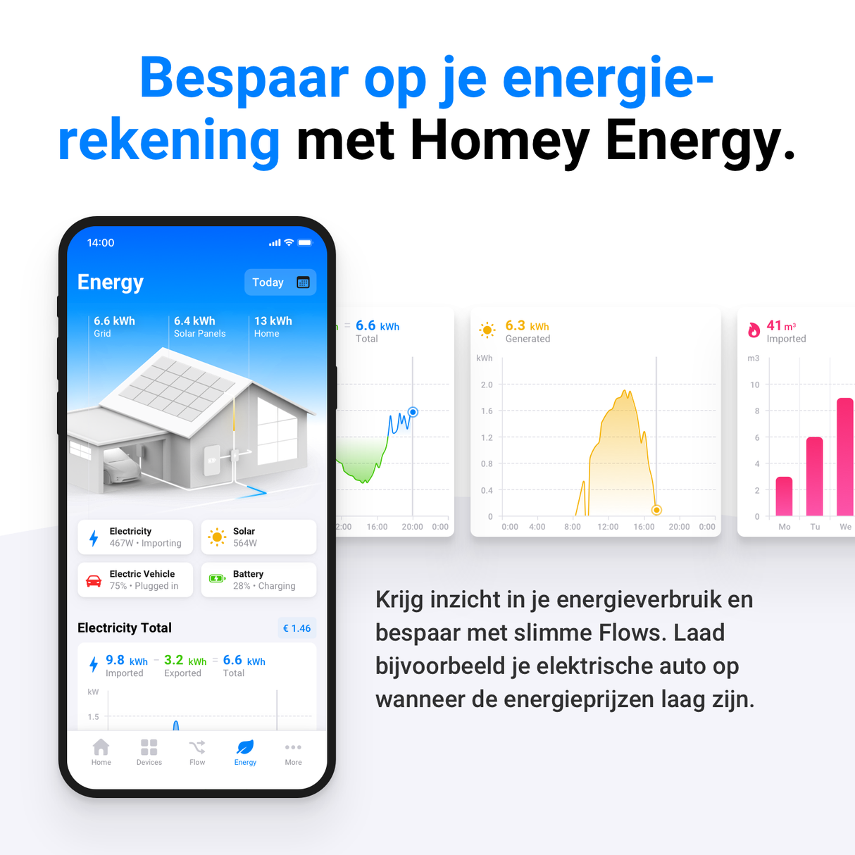 Homey Pro (2026)