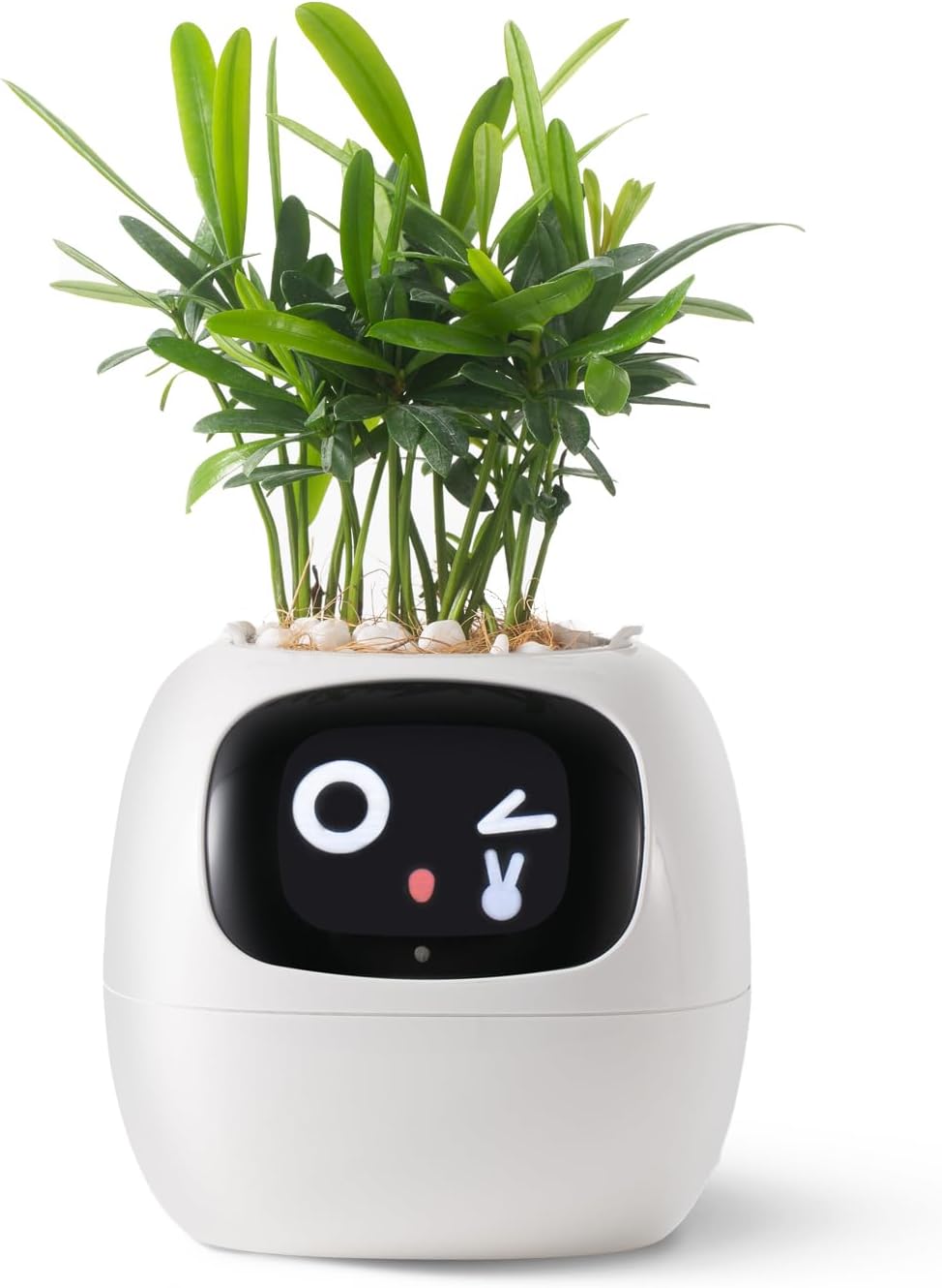 Tuya Ivy Smart Planter – Interactieve WiFi Bloempot met Display