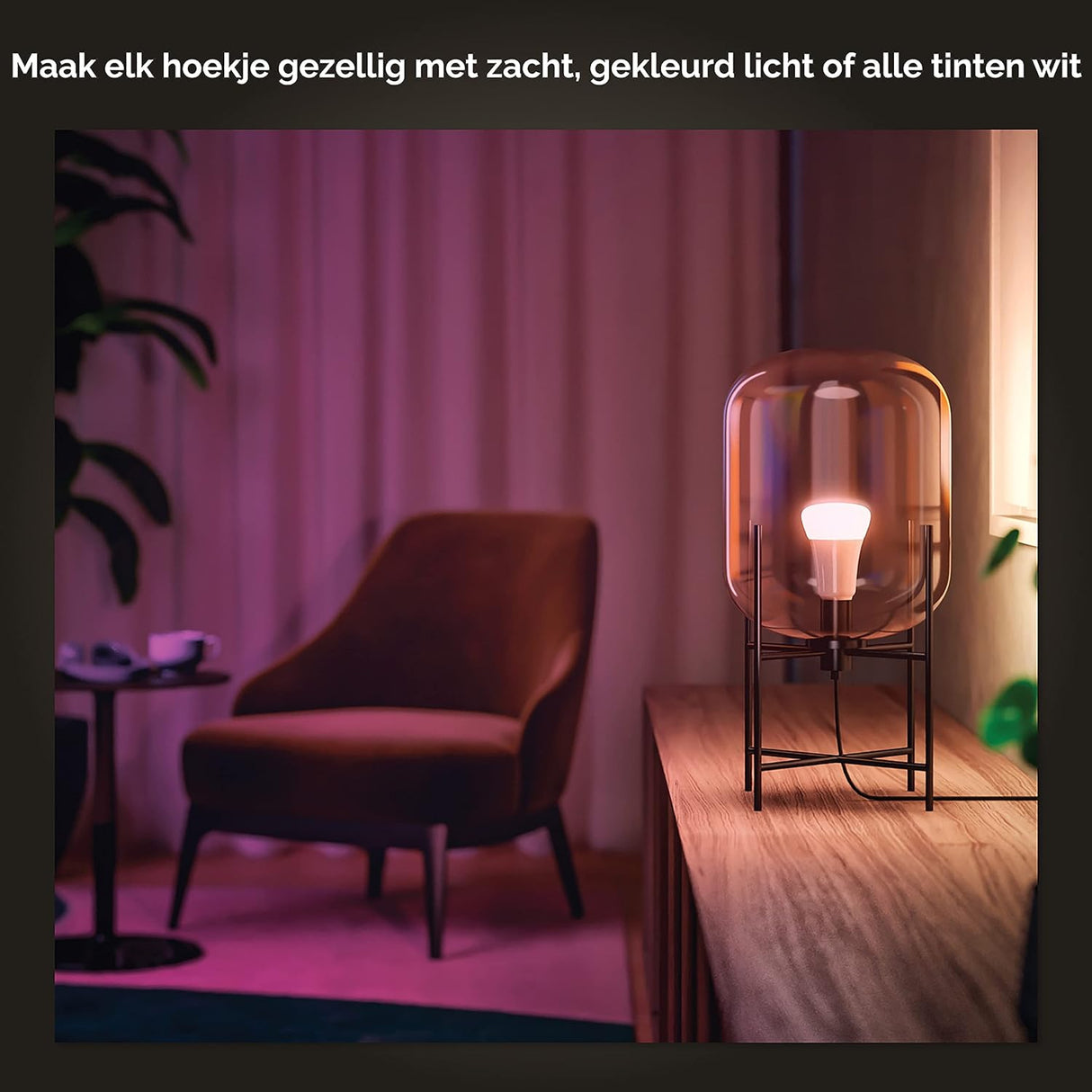 Philips Hue White and Color E27 800lm Duo pack