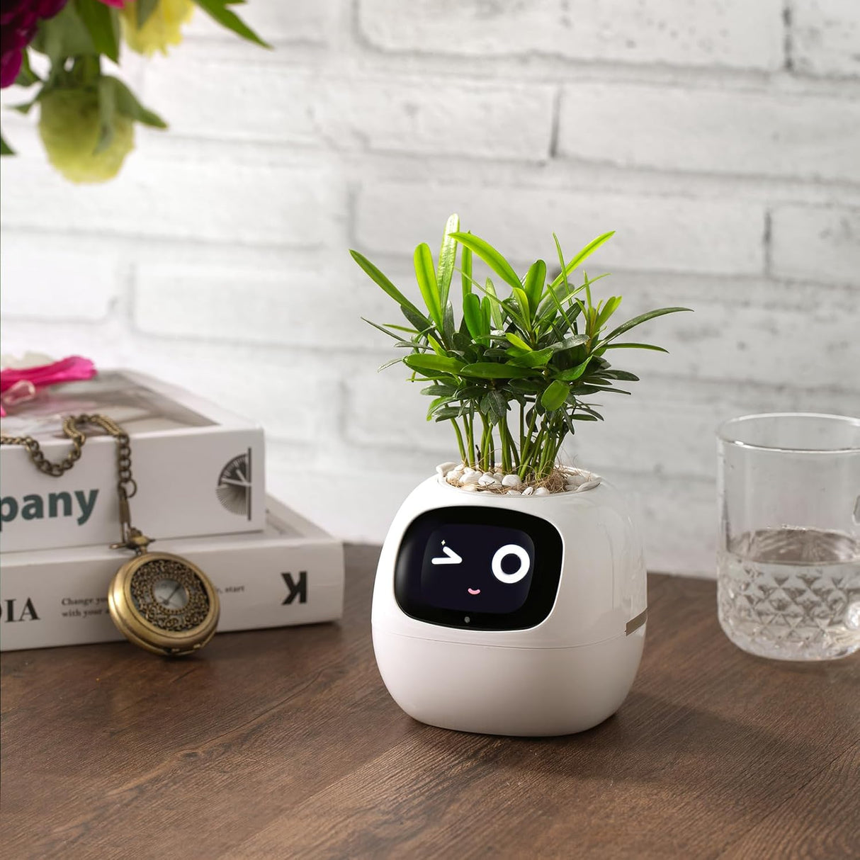 Tuya Ivy Smart Planter – Interactieve WiFi Bloempot met Display