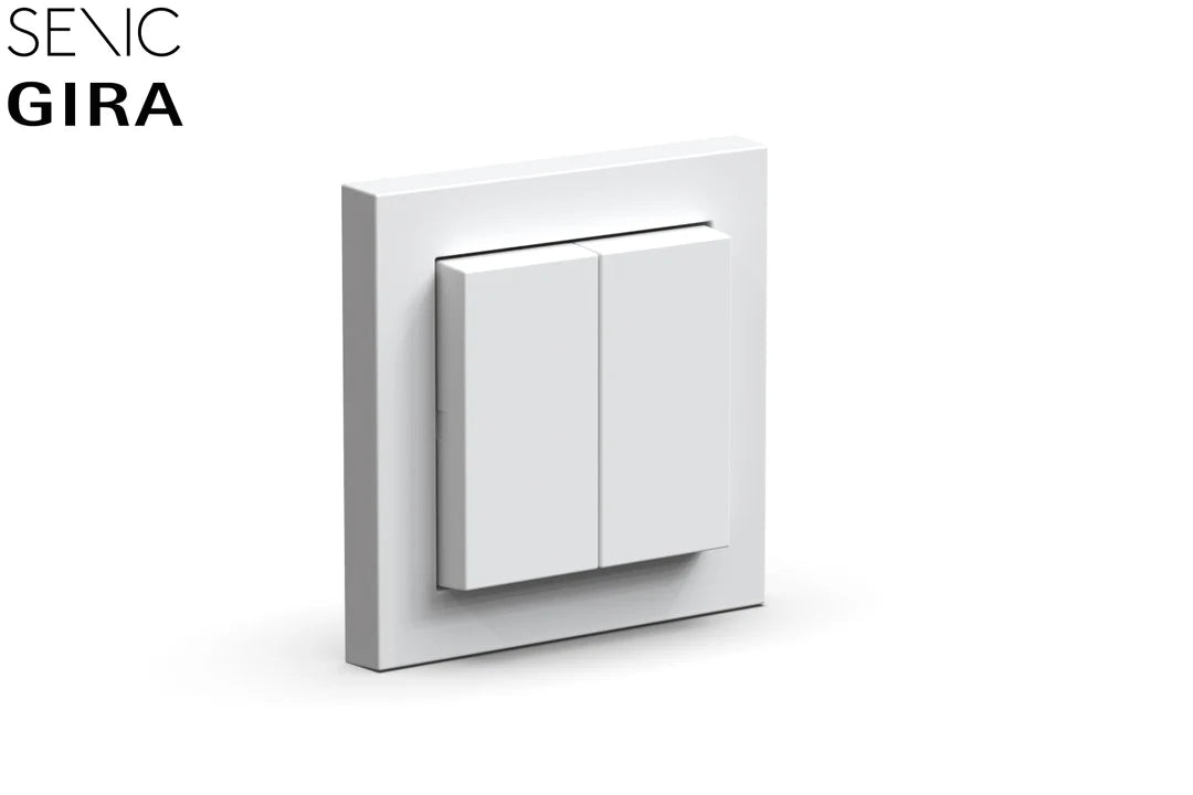 Senic Gira Friends of Hue Switch