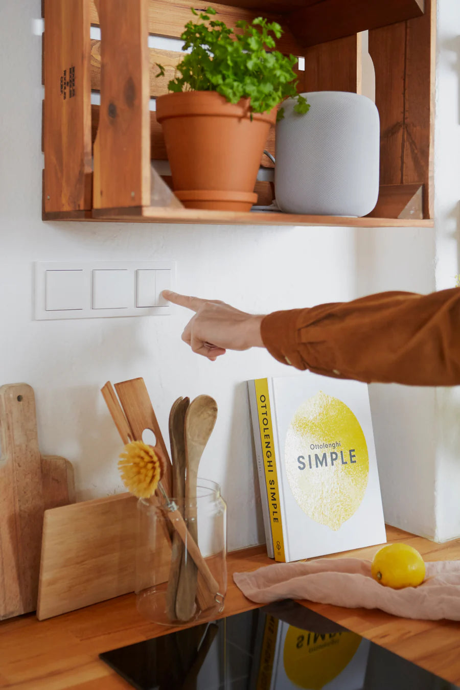 Senic Gira Friends of Hue Switch