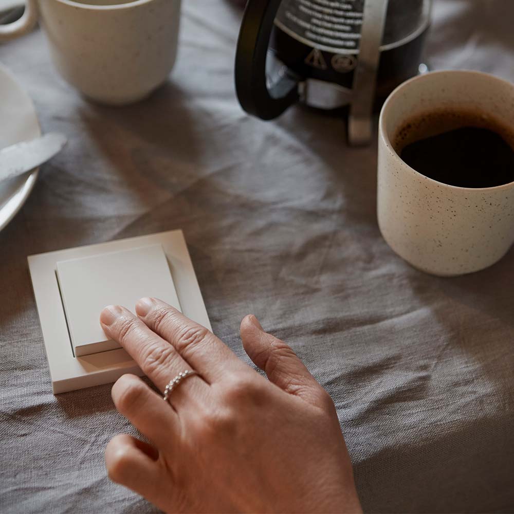 Senic Gira Friends of Hue Switch