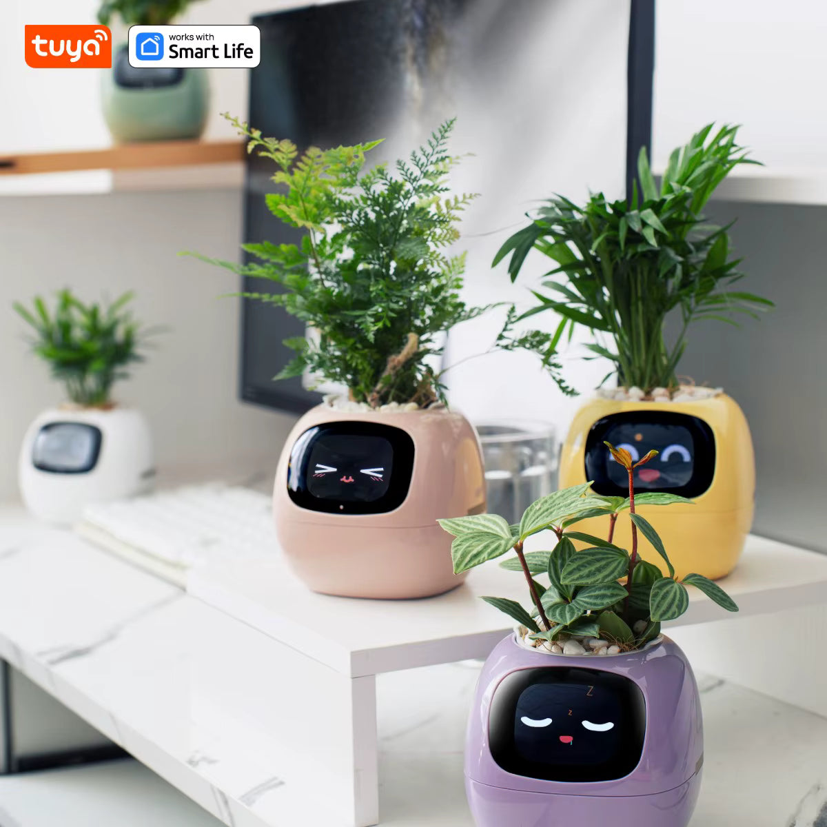 Tuya Ivy Smart Planter – Interactieve WiFi Bloempot met Display