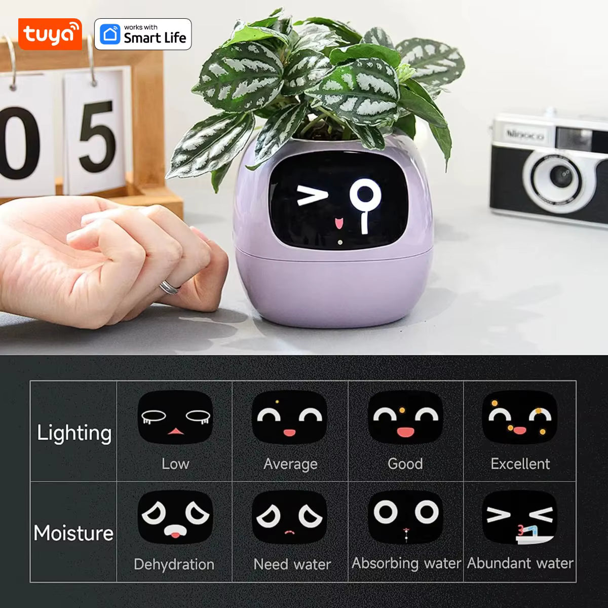 Tuya Ivy Smart Planter – Interactieve WiFi Bloempot met Display