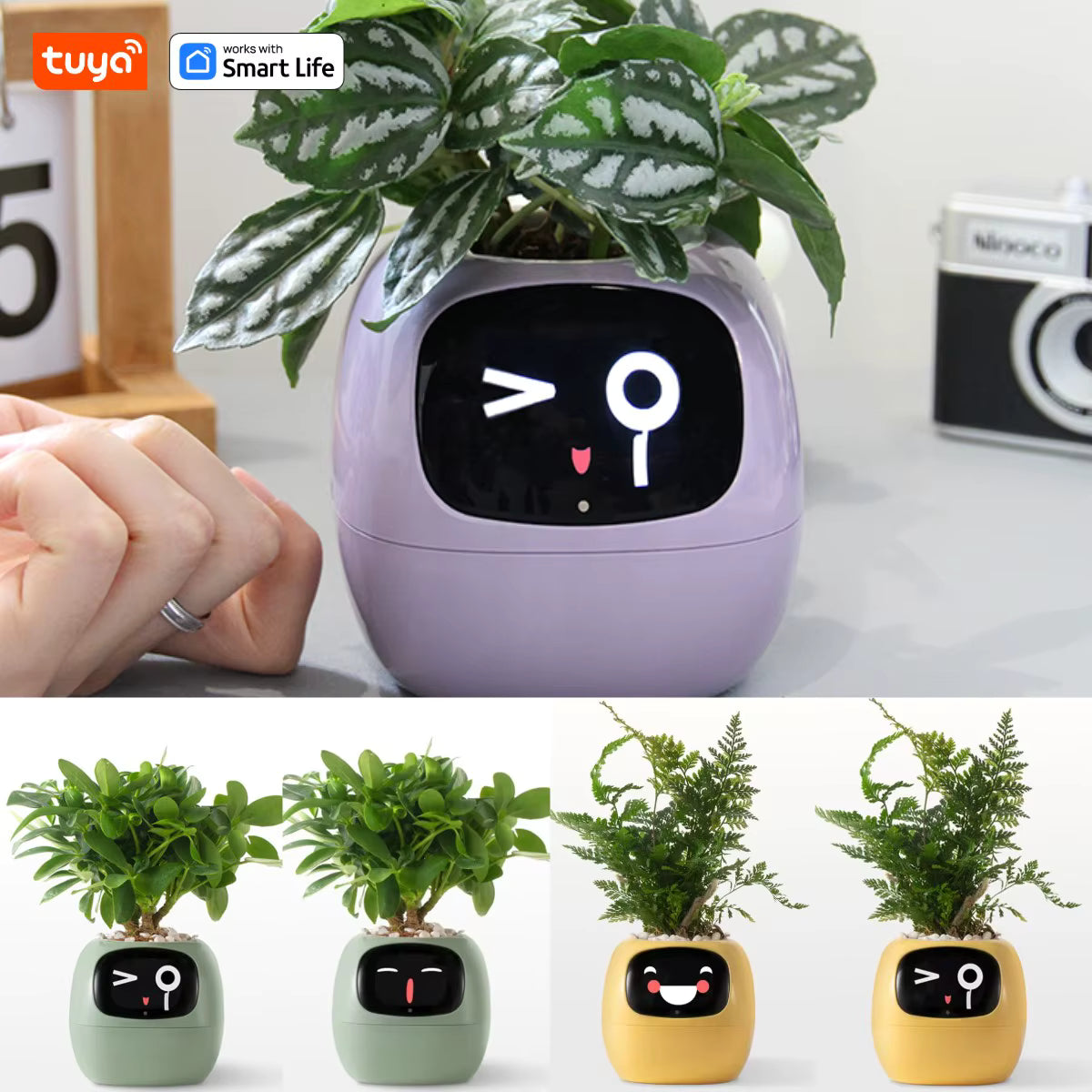 Tuya Ivy Smart Planter – Interactieve WiFi Bloempot met Display