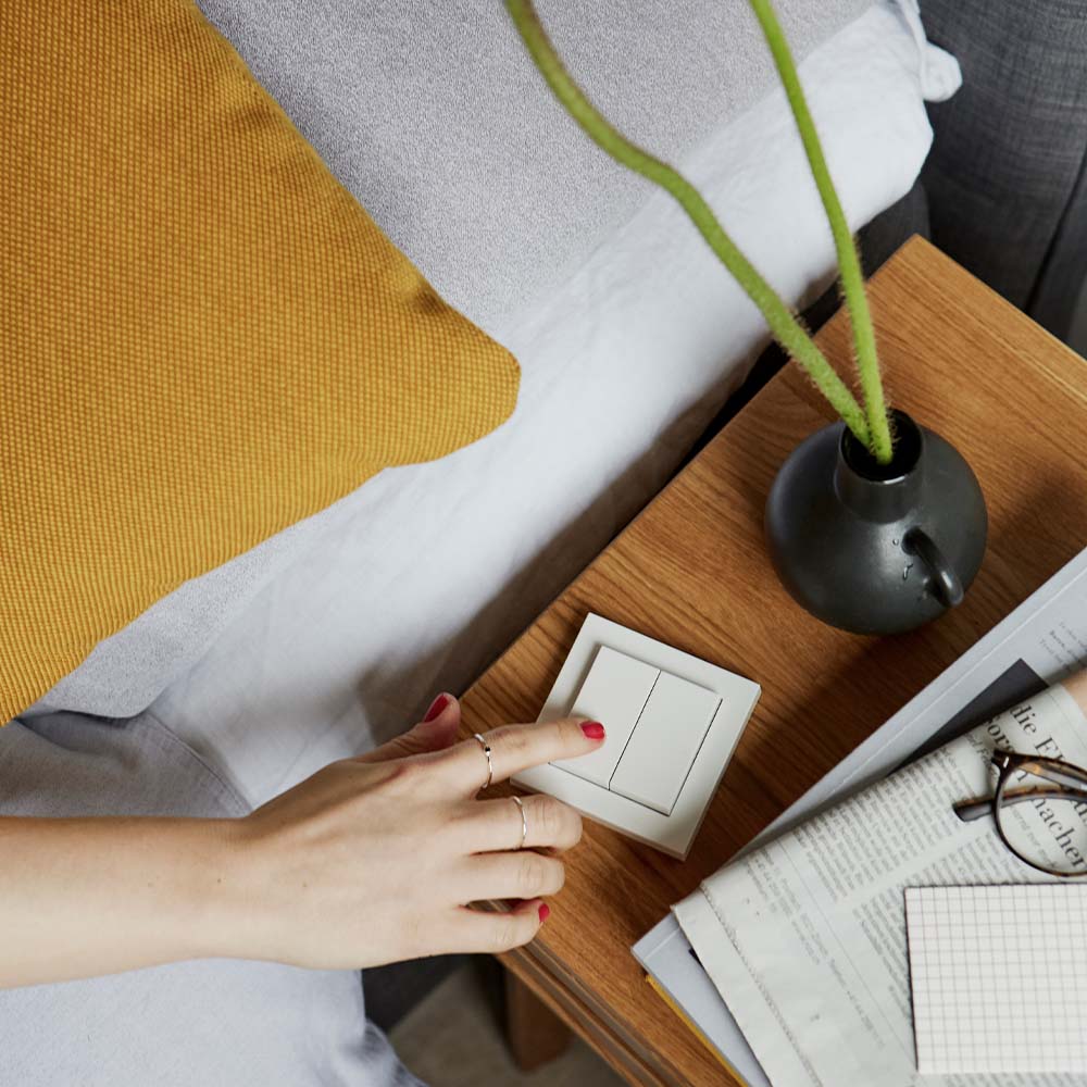 Senic Gira Friends of Hue Switch