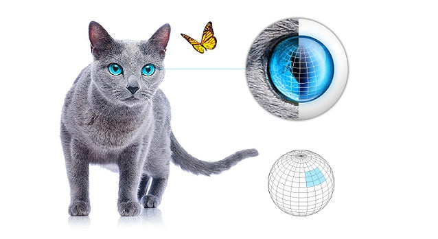 FIBARO Bewegungssensor