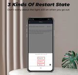 DIYANI Smarte WLAN-Steckdose mit Strommessung | 3690W 20A | Typ F
