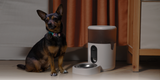 Aqara Pet Feeder C1 