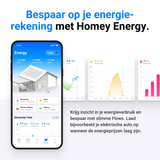 Homey Pro (2026)