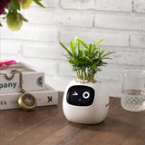 Tuya Ivy Smart Planter – Interactieve WiFi Bloempot met Display
