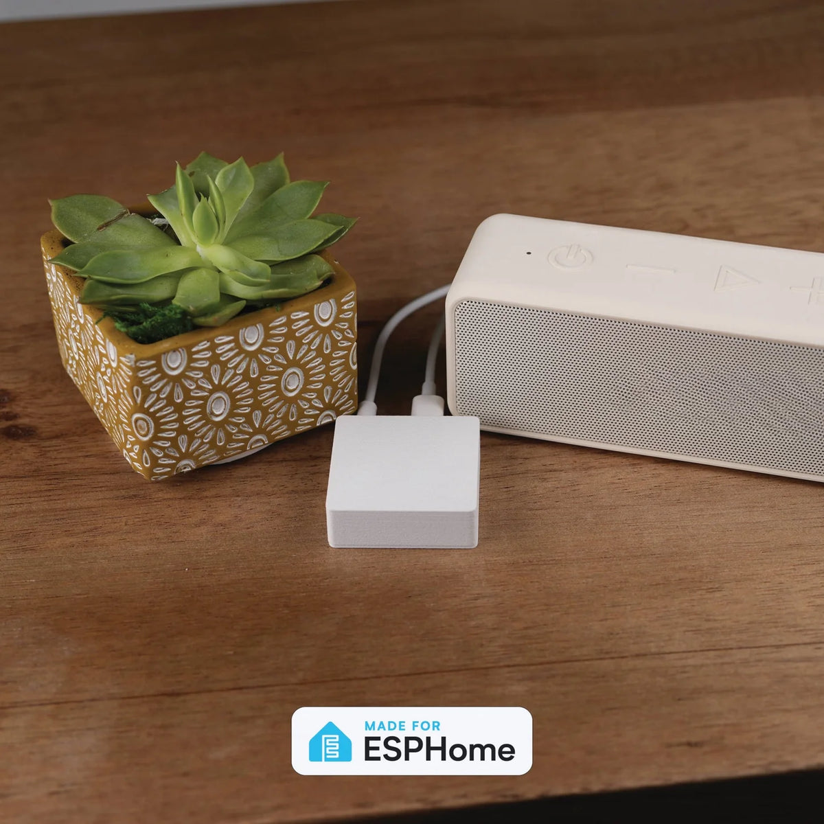 Apollo CAST-1 Smart Audio Streamer | Maak Actieve Speakers Slim met SendSpin