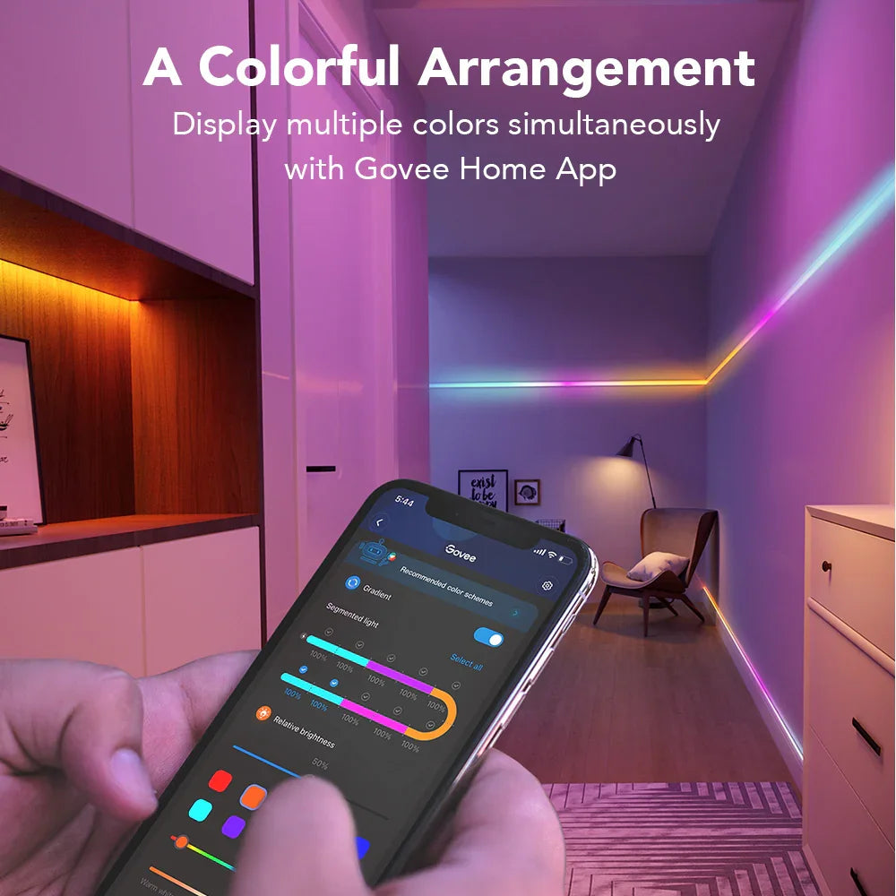 Govee RGBIC LED Strip Light 5 Meter | Segmented Kleuren & Wi-Fi