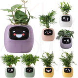 Tuya Ivy Smart Planter – Interactieve WiFi Bloempot met Display