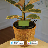 Apollo PLT-1 Ultimate Plant Sensor voor Home Assistant