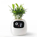 Latest products