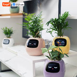 Tuya Ivy Smart Planter – Interactieve WiFi Bloempot met Display