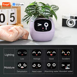 Tuya Ivy Smart Planter – Interactieve WiFi Bloempot met Display