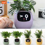 Tuya Ivy Smart Planter – Interactieve WiFi Bloempot met Display