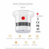 HEIMAN HS1SA-E Zigbee 3.0 Rookmelder