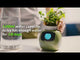 Tuya Ivy Smart Planter – Interactieve WiFi Bloempot met Display