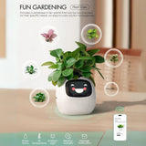 Tuya Ivy Smart Planter – Interactieve WiFi Bloempot met Display