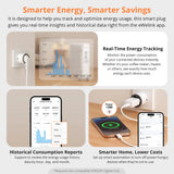 SONOFF iPlug S60ZBTPF Zigbee Slimme Stekker met Energiemeting | 16A | Type F