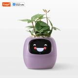 Tuya Ivy Smart Planter – Interactieve WiFi Bloempot met Display