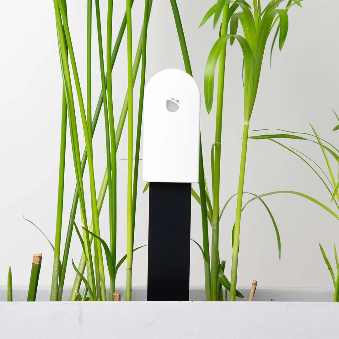 HHCC Mi Flower Care Plant Sensor MAX – Jouw slimme plantenhulp voor de tuin!